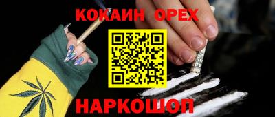 Альфа ПВП Можга