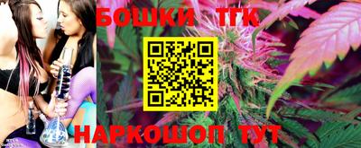 Альфа ПВП Можга