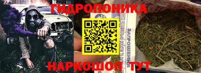 Альфа ПВП Можга