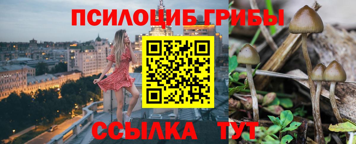 Галлюциногенные грибы Cubensis  Вход с VPN  Великий Устюг 